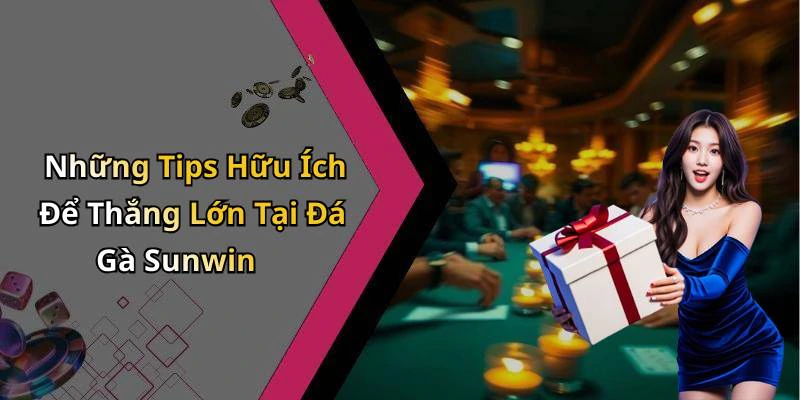 hinh-anh-da-ga-sunwin-trai-nghiem-dang-cap-trong-giai-tri-truc-tuyen-800-2