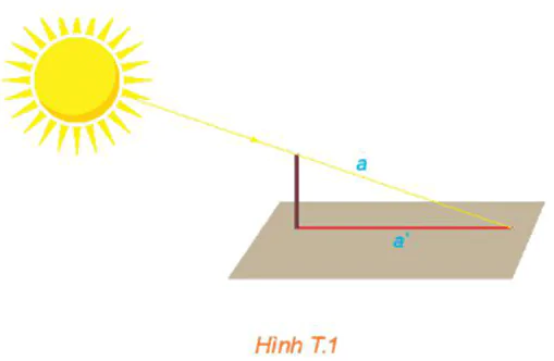 hinh-anh-hoat-dong-thuc-hanh-trai-nghiem-hinh-hoc-3605-0