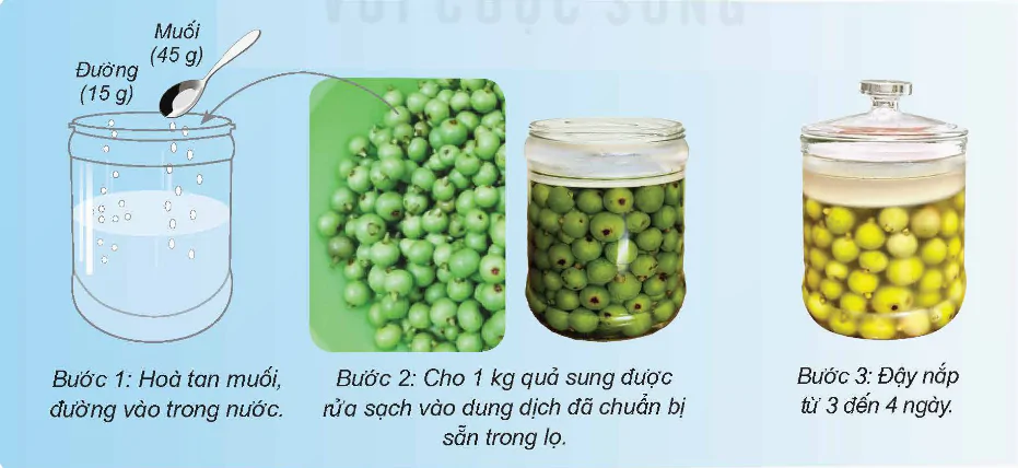 hinh-anh-bai-19-vi-khuan-co-ich-trong-che-bien-thuc-pham-8531-1