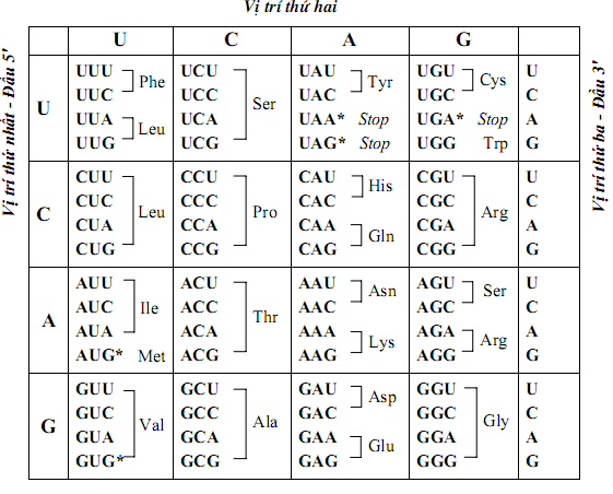 hinh-anh-bai-15-bai-tap-chuong-1-va-chuong-2-3398-0