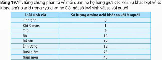 hinh-anh-bai-19-cac-bang-chung-tien-hoa-12981-2