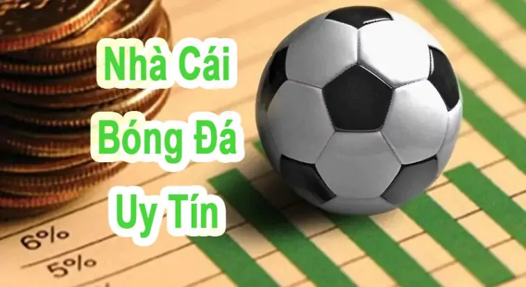 NHÀ CÁI UY TÍN TẠI THỊ TRƯỜNG VIỆT 2024