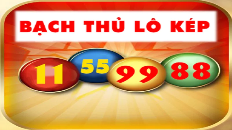 hinh-anh-luu-y-quan-trong-khi-ap-dung-bach-thu-lo-kep-va-nuoi-lo-tai-bet88-219-0