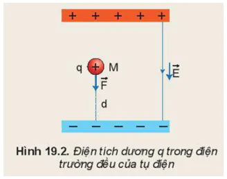 hinh-anh-bai-19-the-nang-dien-3631-1