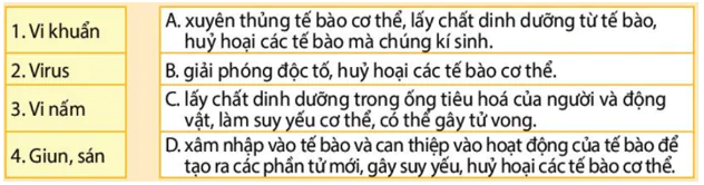 hinh-anh-bai-12-mien-dich-o-nguoi-va-dong-vat-3654-0