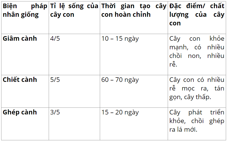 hinh-anh-bai-26-thuc-hanh-nhan-giong-vo-tinh-va-thu-phan-cho-cay-3671-1