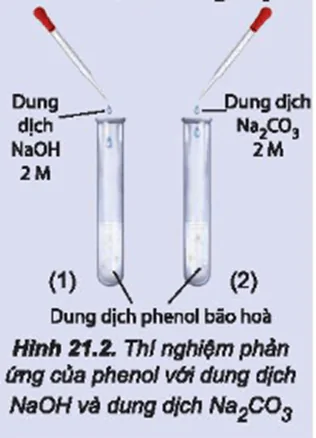hinh-anh-bai-21-phenol-3701-1
