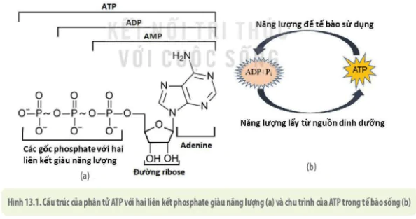 hinh-anh-bai-13-khai-quat-ve-chuyen-hoa-vat-chat-va-nang-luong-3724-1