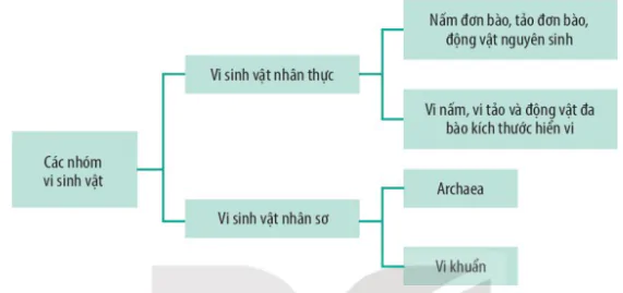 hinh-anh-bai-20-su-da-dang-va-phuong-phap-nghien-cuu-vi-sinh-vat-3735-1