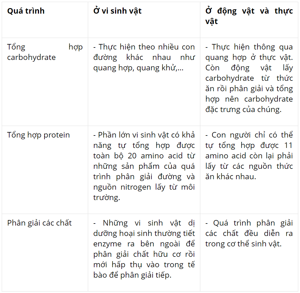 hinh-anh-bai-21-trao-doi-chat-sinh-truong-va-sinh-san-o-vi-sinh-vat-3736-1