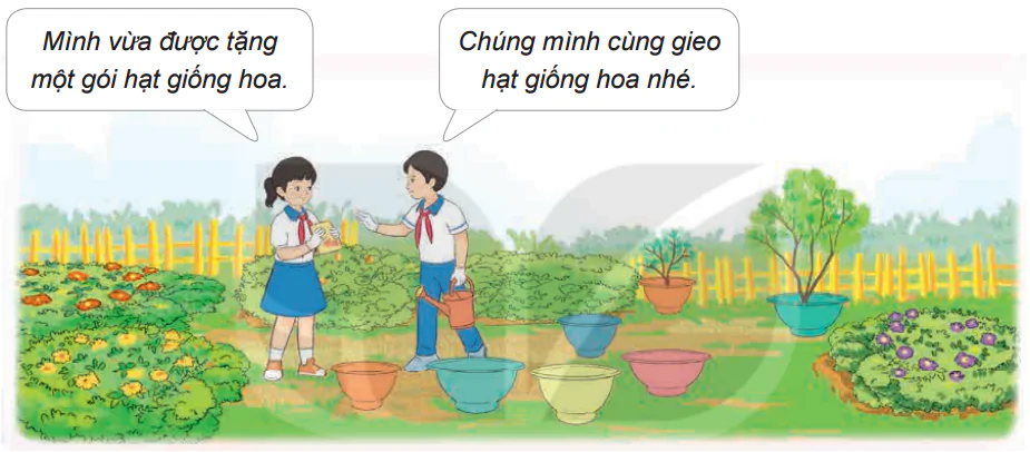 hinh-anh-bai-4-gieo-hat-hoa-cay-canh-trong-chau-5347-0