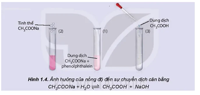 hinh-anh-bai-1-khai-niem-ve-can-bang-hoa-hoc-3471-18