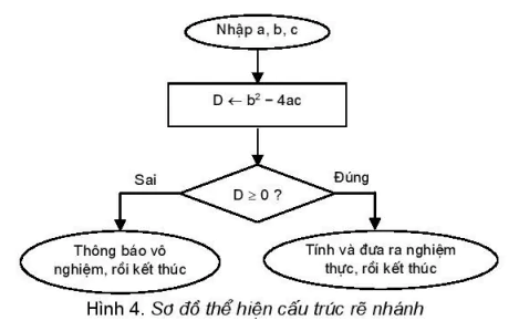 hinh-anh-bai-9-cau-truc-re-nhanh-4708-2