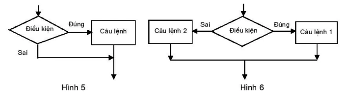 hinh-anh-bai-9-cau-truc-re-nhanh-4708-3