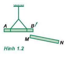 hinh-anh-bai-1-dien-tich-dinh-luat-cu-long-3913-1