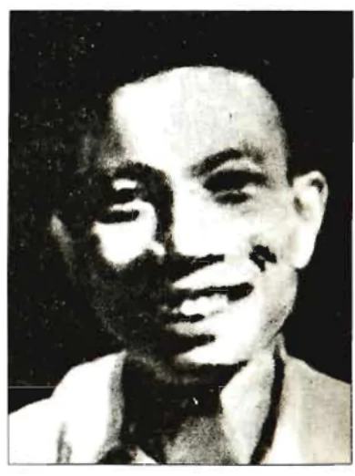 hinh-anh-tuong-tu-nguyen-binh-4649-0