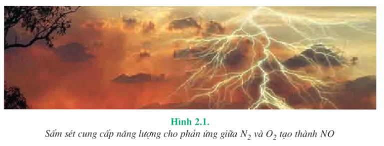 hinh-anh-bai-7-nito-3960-9