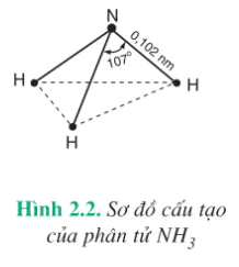 hinh-anh-bai-8-amoniac-va-muoi-amoni-3962-2