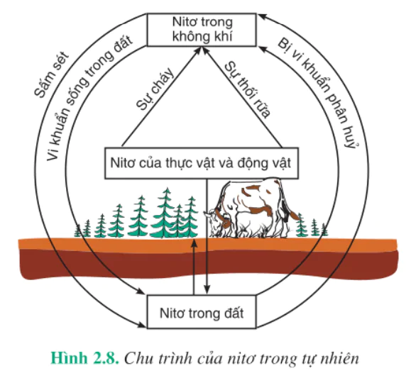 hinh-anh-bai-9-axit-nitric-va-muoi-nitrat-3965-56