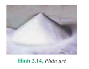 hinh-anh-bai-12-phan-bon-hoa-hoc-3971-12