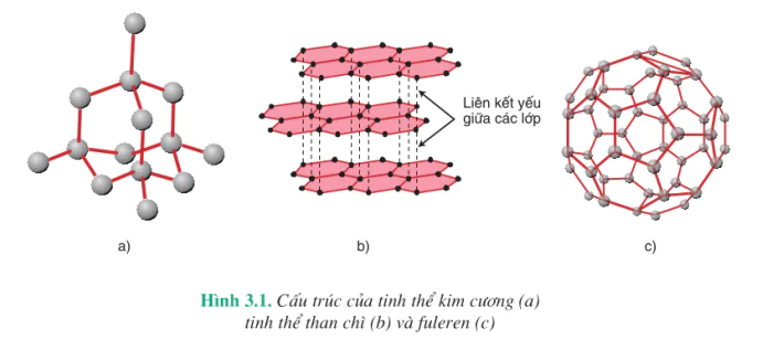 hinh-anh-bai-15-cacbon-3996-1