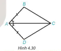 hinh-anh-bai-14-truong-hop-bang-nhau-thu-hai-va-thu-ba-cua-tam-giac-8081-4