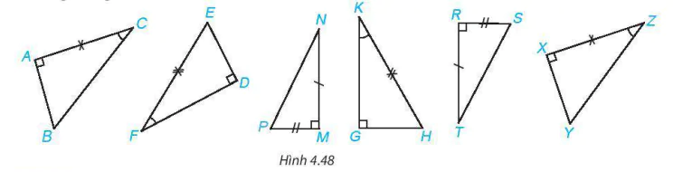 hinh-anh-bai-15-cac-truong-hop-bang-nhau-cua-tam-giac-vuong-8098-8