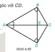 hinh-anh-bai-15-cac-truong-hop-bang-nhau-cua-tam-giac-vuong-8098-12