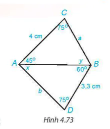 hinh-anh-luyen-tap-chung-trang-85-8145-13