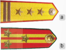 hinh-anh-bai-2-to-chuc-quan-doi-nhan-dan-viet-nam-va-cong-an-nhan-dan-viet-nam-13337-0