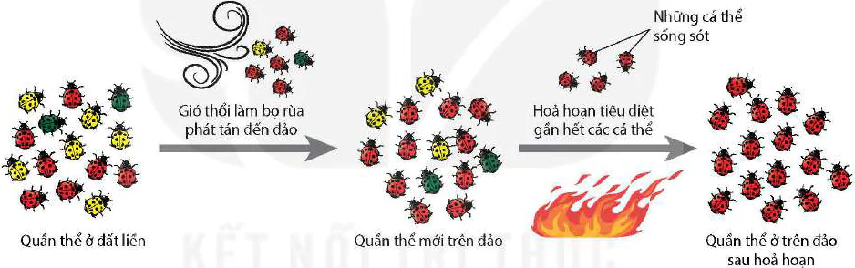 hinh-anh-bai-21-hoc-thuyet-tien-hoa-tong-hop-hien-dai-12983-0