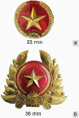 hinh-anh-bai-2-to-chuc-quan-doi-nhan-dan-viet-nam-va-cong-an-nhan-dan-viet-nam-13337-1