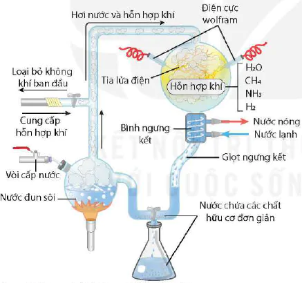 hinh-anh-bai-22-tien-hoa-lon-va-qua-trinh-phat-sinh-chung-loai-12985-0