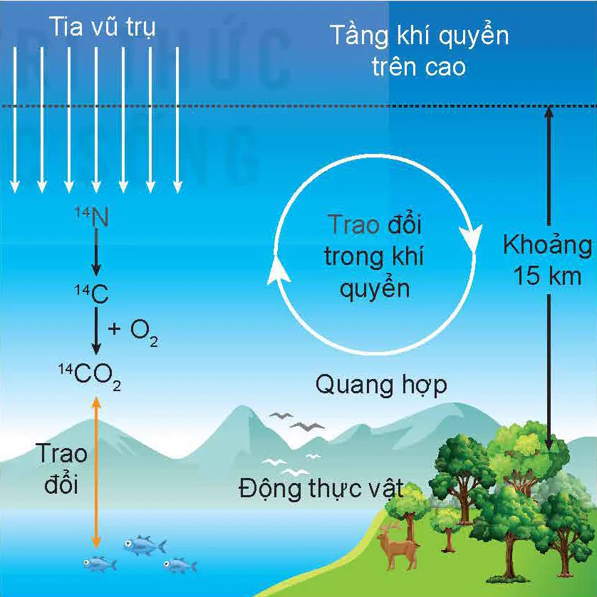 hinh-anh-bai-23-hien-tuong-phong-xa-13650-54