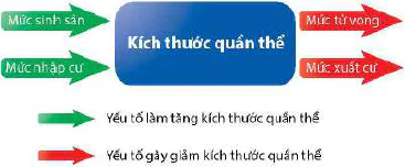 hinh-anh-bai-24-sinh-thai-hoc-quan-the-13056-2
