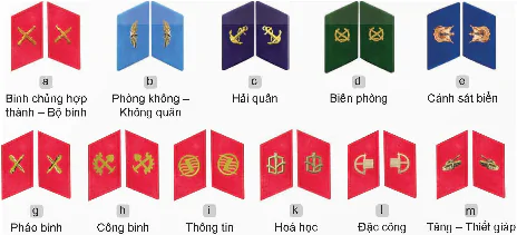 hinh-anh-bai-2-to-chuc-quan-doi-nhan-dan-viet-nam-va-cong-an-nhan-dan-viet-nam-13337-5