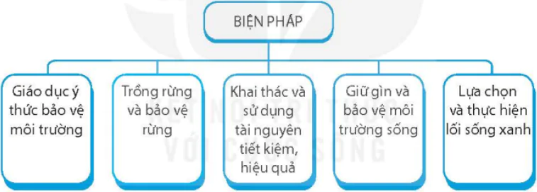 hinh-anh-bai-26-xay-dung-the-gioi-xanh-sach-dep-8453-5