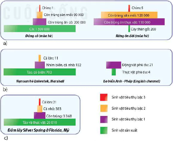 hinh-anh-bai-29-trao-doi-vat-chat-va-chuyen-hoa-nang-luong-trong-he-sinh-thai-13065-5