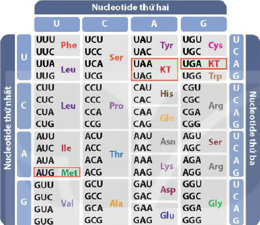 hinh-anh-bai-2-gene-qua-trinh-truyen-dat-thong-tin-di-truyen-va-he-gene-12412-5