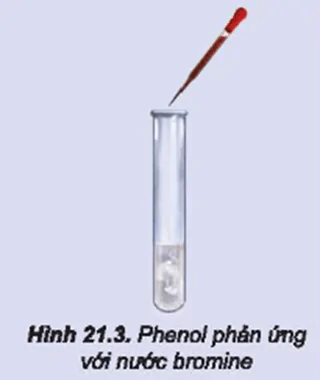 hinh-anh-bai-21-phenol-3701-2