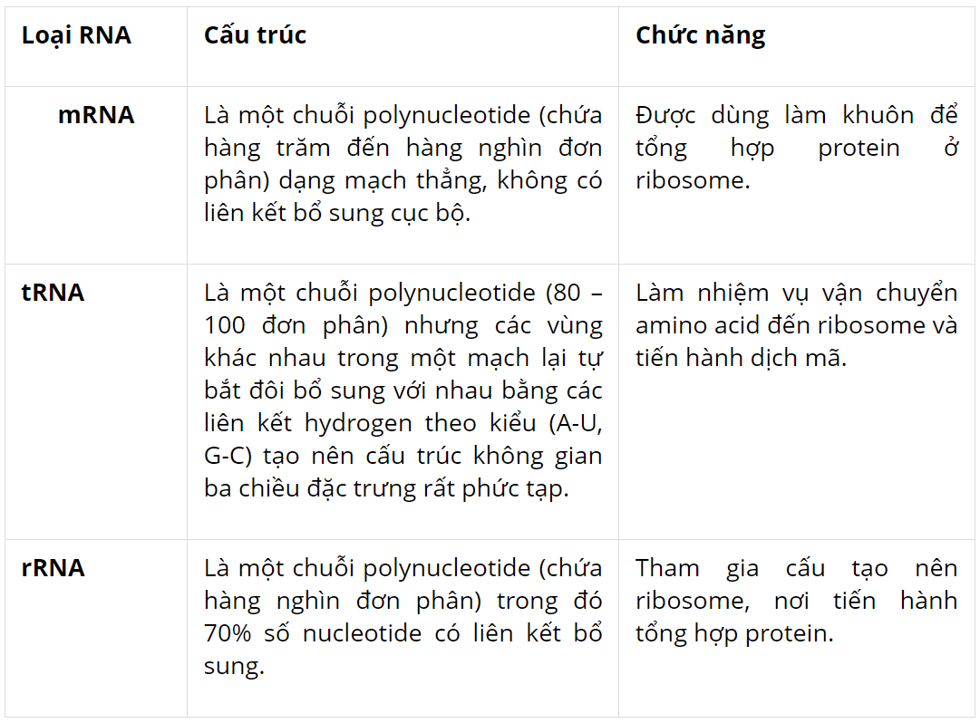 hinh-anh-bai-5-cac-phan-tu-sinh-hoc-3716-2