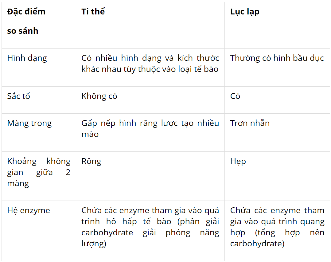 hinh-anh-bai-8-te-bao-nhan-thuc-3719-2