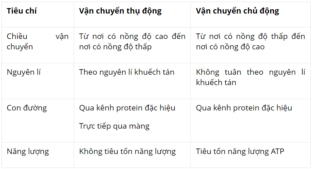 hinh-anh-bai-10-trao-doi-chat-qua-mang-te-bao-3721-2