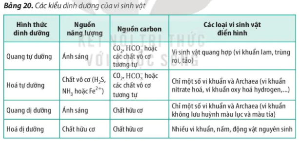 hinh-anh-bai-20-su-da-dang-va-phuong-phap-nghien-cuu-vi-sinh-vat-3735-2