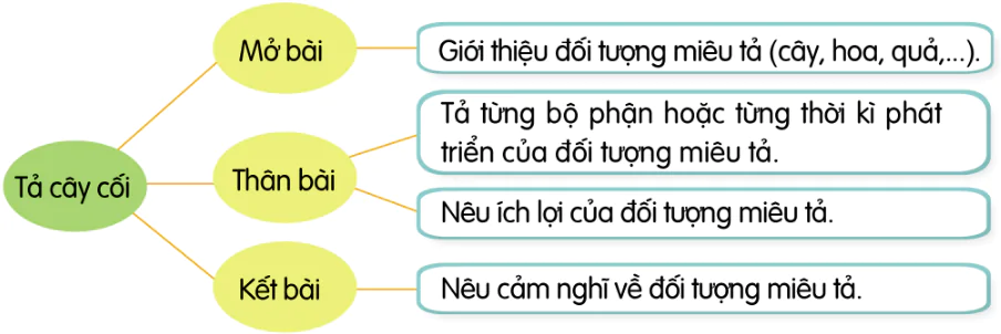 hinh-anh-bai-3-nhu-mang-moc-thang-9494-4