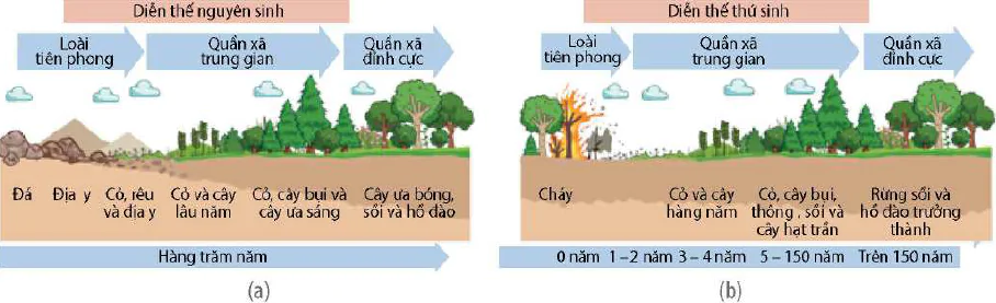 hinh-anh-bai-30-dien-the-sinh-thai-13083-0