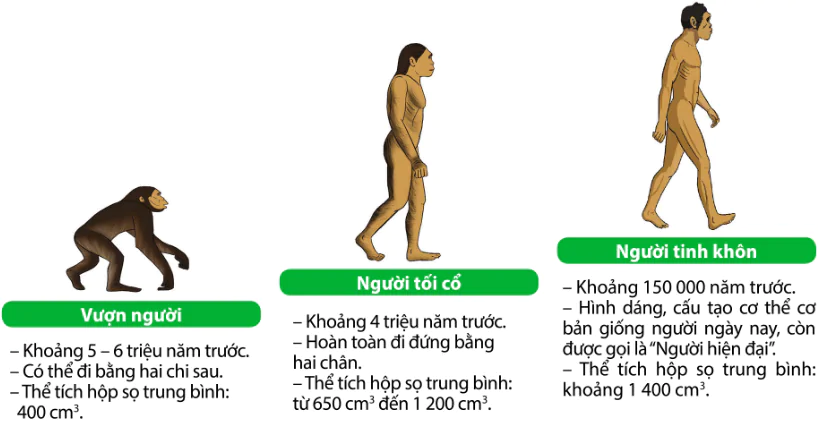 hinh-anh-bai-3-nguon-goc-loai-nguoi-10290-0