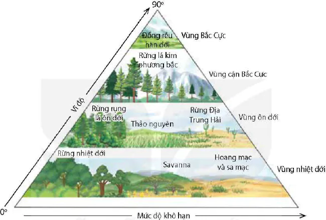 hinh-anh-bai-31-sinh-quyen-khu-sinh-hoc-va-chu-trinh-sinh-dia-hoa-13084-0