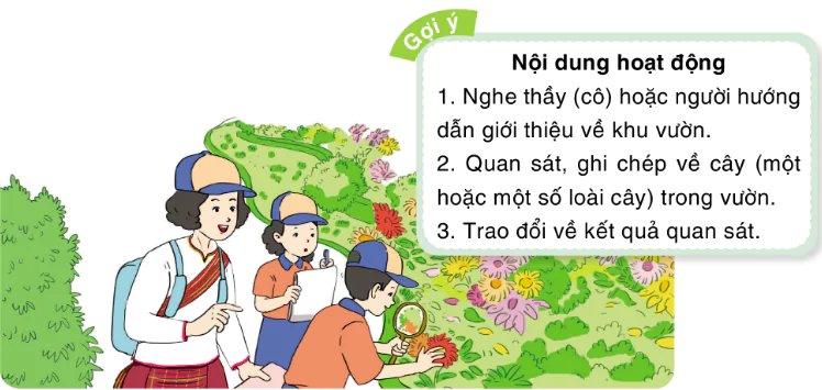 hinh-anh-bai-3-nhu-mang-moc-thang-9494-16