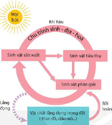 hinh-anh-bai-31-sinh-quyen-khu-sinh-hoc-va-chu-trinh-sinh-dia-hoa-13084-3